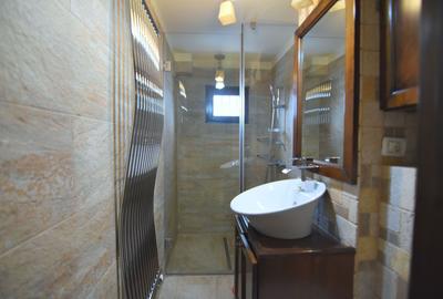 Apartament cu 1 camera, recent renovat-Take Ionescu - 11