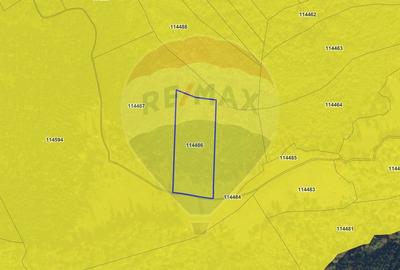 COMISION 0% | Teren 23.000 mp | Extravilan | Râsnov - Pârâul rece - 1