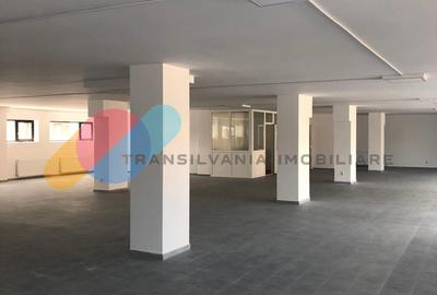 Spații comerciale | Vitrine stradale | Open-space | zona Corneliu Coposu - 7