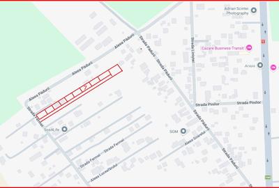 BALOTESTI – SAFTICA, LOT 460 MP! - 5