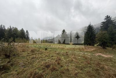 Teren Construcții extravilan de 6100 mp, în Falcău