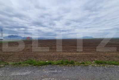 Teren Construcții extravilan de 11620 mp, în Hărman
