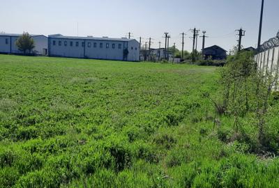 FARA COMISIOANE in Joita aproape de drumul asfaltat teren de 4600mp merita vazut - 6