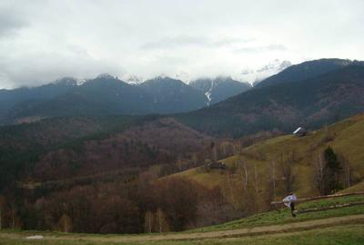 Teren case de vvacanta,pensiuni,training place - 2