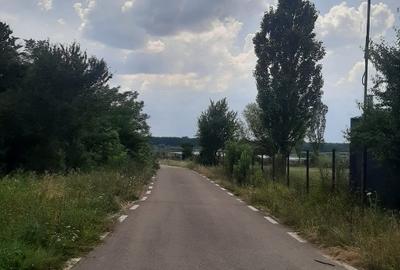 Teren Construcții intravilan de 5500 mp, în Ilfoveni