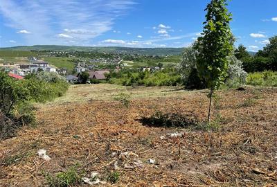 Ocazie! Visan TEREN 1616mp intravilan lot pt constructie casa - 2