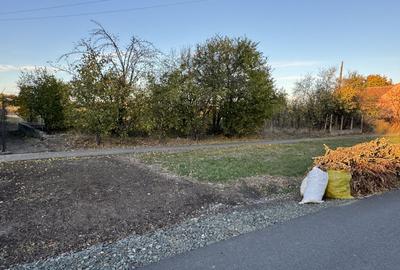 Teren Intravilan in Zona Semicentrala, Becicherecu Mic,2118 mp,Fs. 18m - 1