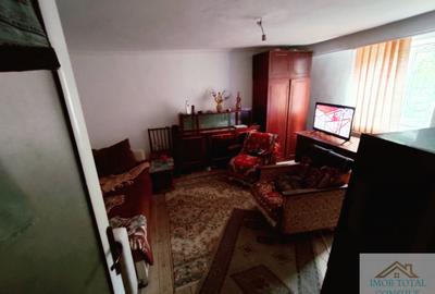 Casa P+1+M, Costesti, Arges , 24 km de Pitesti - 7