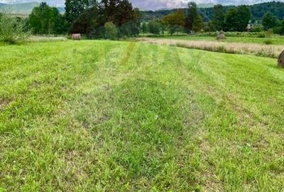 Teren 1,884mp Berbesti / Drumul secundar - 1