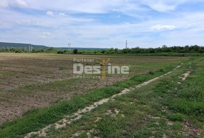 Teren Extravilan de Vânzare – Mărăcineni, Sat Argeșelu - 7