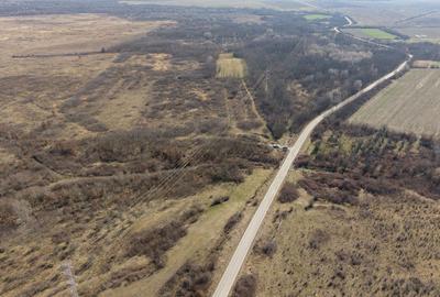 Teren extravilan 95.23 ha lângă Caransebeș - 10