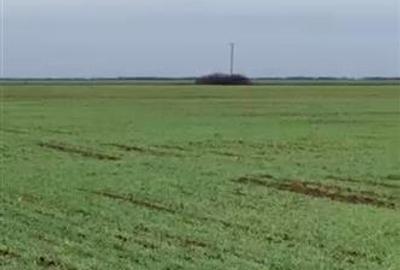 RECO Teren extravilan, zona Industriala in Livada de Bihor - 1