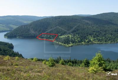 Teren extravilan de 15871 mp, în Beliș