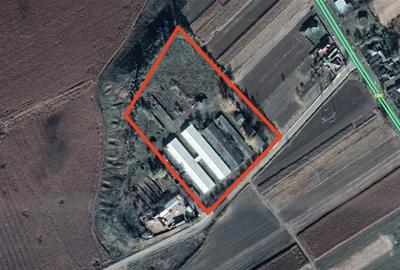 Complex hale depozitare - productie Iasi, Ciohorani, 8164mp - 3