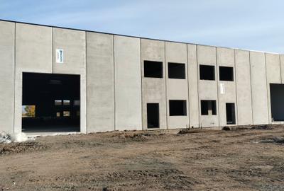 Spațiu industrial, 7000 mp în Sânandrei