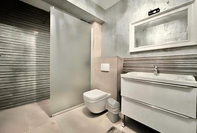 Penthouse cu suprafata generoasa,zona Noua - 13