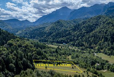 Teren superb in Rasnov Glajerie retras si intim - 1