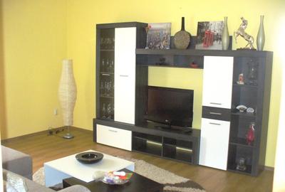 Apartament cu 2 camere in Gusterita - 1