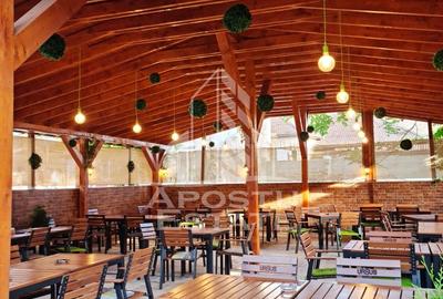 Afacere la cheie, in apropierea Castelului Corvinilor in Hunedoara - 26