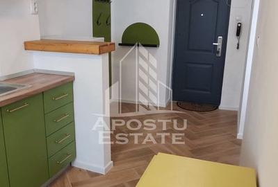 Apartament 2 camere, de vanzare, zona Sagului, Timisoara - 8