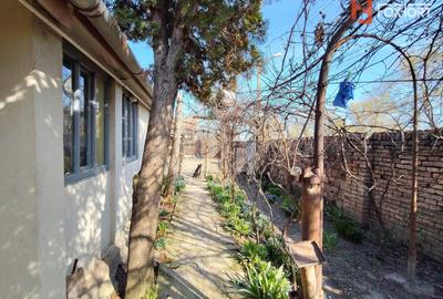 Casa cu 3 camere de vanzare in Jimbolia, teren pe colt - 13