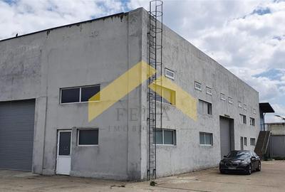 De vanzare doua hale pe un teren imprejmuit 9000 mp zona Gai - 30