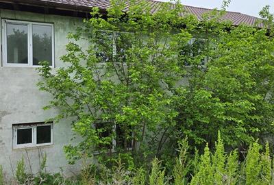 Casa si teren aferent situata in Sat Oniceni, Comuna Oniceni, judet Neamt - 2