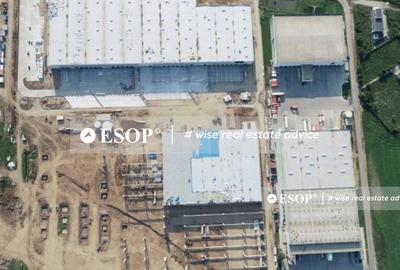 WDP Industrial Park Dragomiresti, spatii industriale, 0% comision - 6