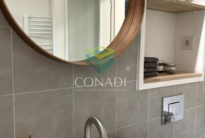 Garsoniera renovata modern str Nada Florilor - Teiul Domnei - 44