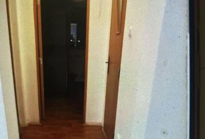 Apartament 3 camere Raul Doamnei, Drumul Taberei - 8