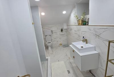 Vand casa D+P central Deva - 5