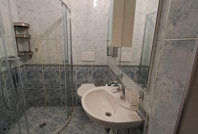 APARTAMENT 2 CAM DEOSEBIT AMENAJAT,  ROMANA, PIATA AMZEI, CALEA VICTORIEI - 9