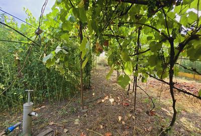 Teren intravilan 633mp in Gradiste - 3