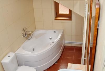 ZONA CENTRALA- CASA P+1+M, TEREN 500 MP - 15