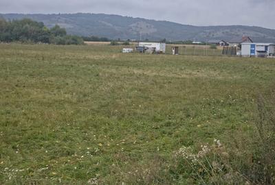 Teren intravilan RASNOV - 7