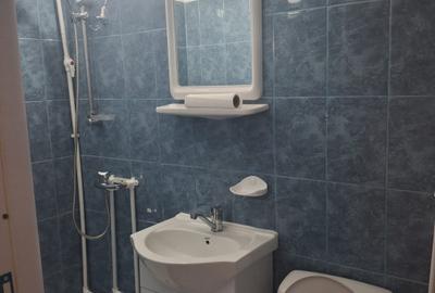 Garsoniera 21 mp, complet renovata -zona Jumbo - 8