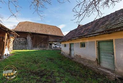 FILM! Domeniu de 6.221mp, livada pomi fructiferi+casa si anexe,Lemnia, Covasna - 10