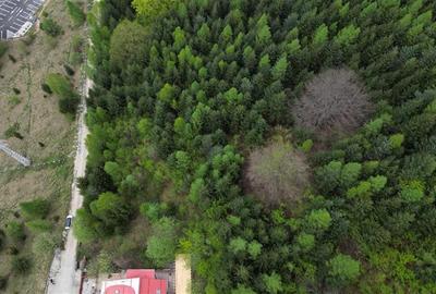 Teren 6500mp Dambu Morii - Bunloc, Brasov - 1