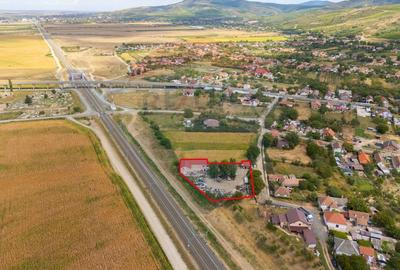 Spațiu industrial cu potential de vanzare in Paulis,Arad - 24