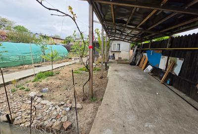 Petricani, strada Steaua Rosie, Lacul Plumbuita, 600 mp, toate utilitatile - 5
