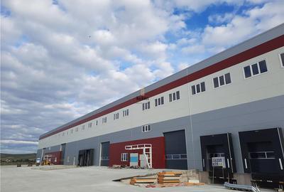 Spatiu Industrial - 5300 mp - Logistica - Productie - Depozitare - Distributie - 2