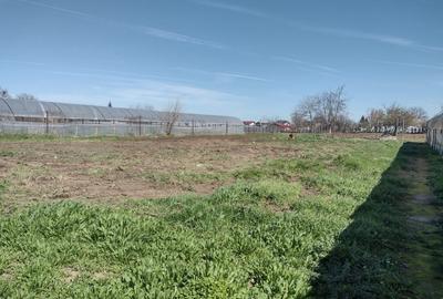 Teren Construcții intravilan de 1850 mp, în Vidra