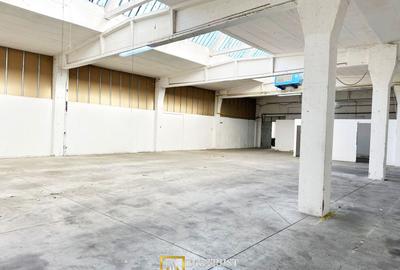 Hala industriala de inchiriat – 417 mp – zona centrala Arad - 3