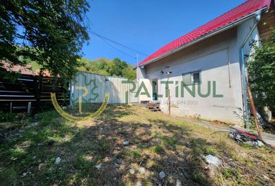 Casă Nucet, 864 mp teren cu pomi fructiferi – la 21 km de Sibiu - 11