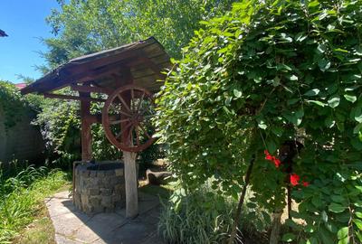 Domeniu Privat - Rosu/ Chiajna - Ilfov - 10