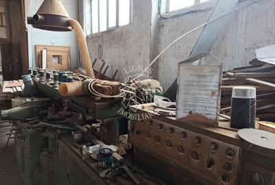 Complex de 3 hale 1545 mp-ideal prelucrare, service-Valea Ghinzii - 8