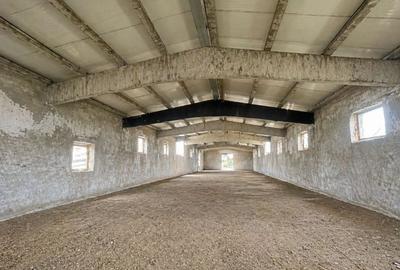 Hala Industrială / Agricolă | 800 MP Construcție + 800 MP Teren | - 1
