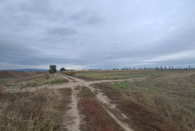 Oază de Natură și Potențial: Teren de 48.100 mp lângă Delta din Carpați - 11