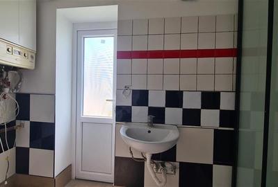 Benzinarie si restaurant de vanzare pe Calea Lugojului - 8