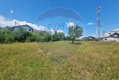 Teren intravilan 11.500 mp – Strada Cismari Vălenii de Munte - 11